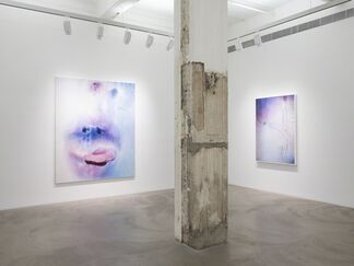 Marilyn Minter, installation view