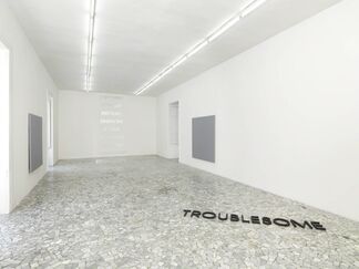 Trublesome, installation view