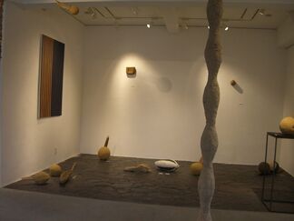 vol.1 Sumiko Fukuda "Seeds and Pillars", installation view