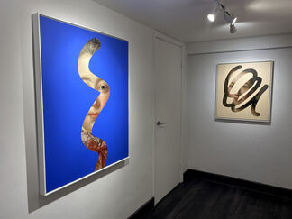 Fake Abstract, installation view