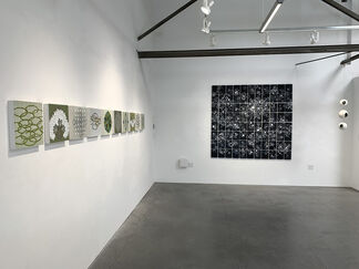 "Connection" by Seiko Tachibana, installation view