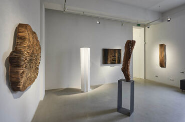 Herbert Golser - Formenwandel, installation view