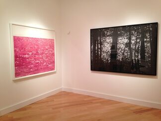 Mila Libman: Second Nature, installation view