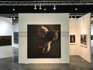 Trotta-Bono Contemporary at Art Palm Beach 2018, installation view