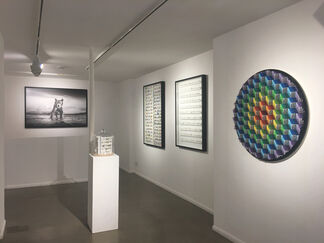 Miami 2020 exhibition at Woolff, installation view