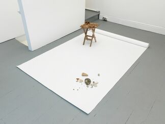 The Infinite Lawn, installation view