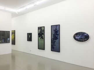 Susan Derges - 25 Years (1991-2016), installation view