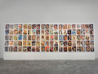 DENNIS KOCH:  Beyond the Funny Farm! Crypto-K, Cutouts, Cut-ups, Copies,  Mirrors, Membranes, and Temporal Algorithms, installation view