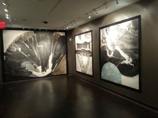 Cave of Light: The Paintings of Park Dae-Sung, installation view