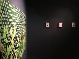 Close Encounters, installation view