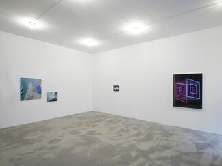 The Human Apparatus, installation view