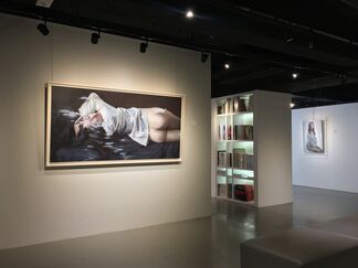 "Solaris" • Solo Exhibition of Atsushi Suwa, installation view