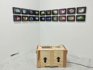 ART 3 at Zsona MACO 2016, installation view
