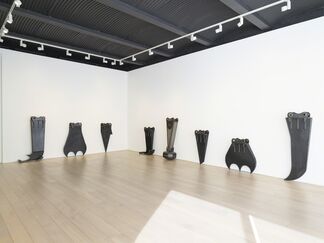 James Capper: Mountaineer, installation view