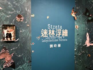 Strata, Liu Shih-Tung’s Labyrinthine Forests, installation view