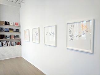 Alisa Dworsky: InVersion, installation view