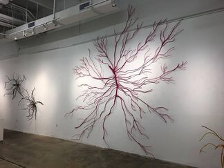 DALYA LUTTWAK: Man = Upside - Down Tree, installation view
