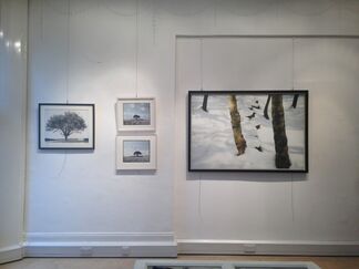 I have come along with the wind, installation view
