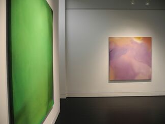 Willem de Looper, Stained Paintings: 1964-1970, installation view