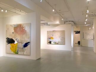 Time to Fly, installation view