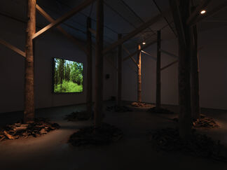 Andreas Greiner - Jungle Memory, installation view