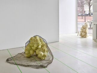 Naufus Ramírez-Figueroa | The Luminous Grid, installation view