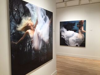 Falling Through Time - Barbara Cole, installation view