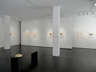 Tori, Masao Yamamoto, installation view