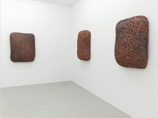 Gereon Krebber - blipplings, installation view