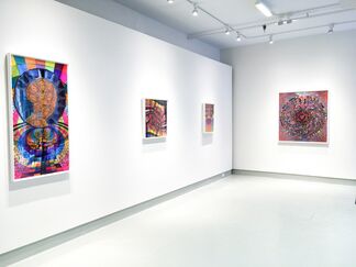 Familiar to Millions, installation view