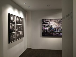 Matthew Pillsbury "Tokyo", installation view