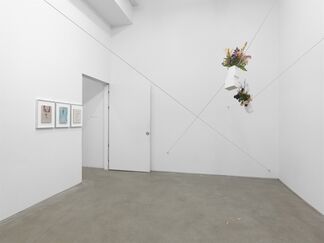 Selections from the Troemel Collection, installation view