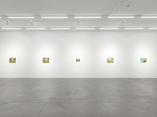 Karen Kilimnik, installation view