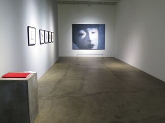 Side by Side, installation view