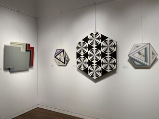 The Shaped Canvas Movement, installation view