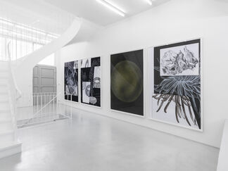 COSMIC CONFUSION, installation view