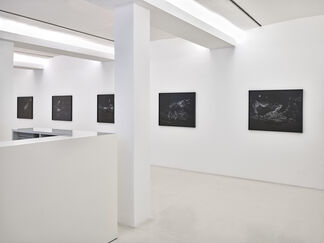 Julian Charrière | Thickens, pools, flows, rushes, slows, installation view