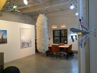 By Appointment Only: January Twenty-Fifteen, installation view