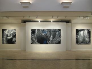Embracing the Sublime, installation view