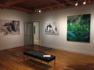 A Memory of Elephants, installation view