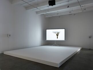 David Maljkovic, installation view