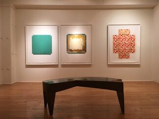 Linda Lindroth: Trickster in Flatland, installation view