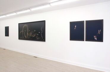 Tara Sellios: Sinuous, installation view