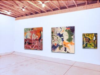 Switching Cadence: Recent Living Forms, installation view