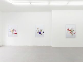Natalie Czech: My Vocabulary Did This To Me, installation view