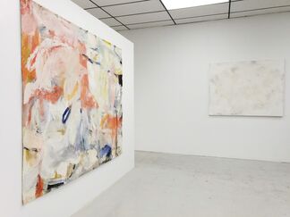 Never Before, installation view