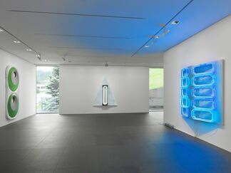 BLAIR THURMAN "ALPINE STEREO", installation view
