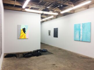 Surface of Color, installation view