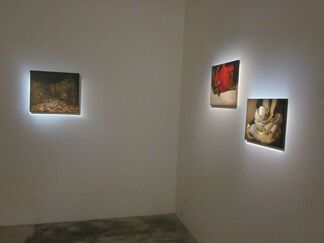 (flare-s), installation view