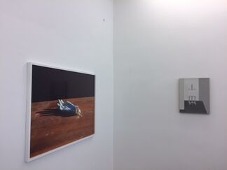 Chinese Spring #3, installation view